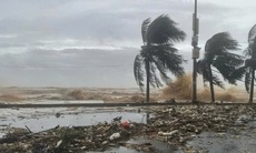 Vùng áp thấp trên Biển Đông có thành bão?