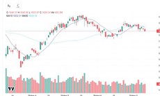Xu hướng chứng khoán 13/7, quan sát diễn biến VN-Index