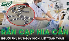 Bị rắn cạp nia cắn, người phụ nữ liệt toàn thân 
