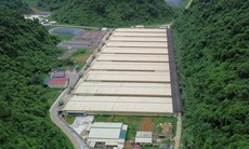 Thêm hai nạn nhân tử vong trong vụ tai nạn trang trại lợn Dabaco Thanh Hóa