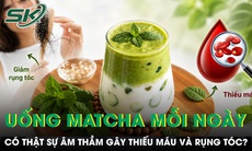 Uống matcha mỗi ngày có thật sự âm thầm gây thiếu máu và rụng tóc?