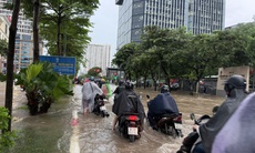 Những khu vực bị ảnh hưởng khi bão số 1 đổ bộ