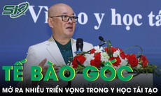 Tế bào gốc mở ra nhiều triển vọng trong y học tái tạo 