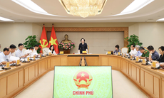Phó Thủ tướng Phạm Thị Thanh Trà: Tập trung phòng, chống ngộ độc thực phẩm, nhất là trong trường học