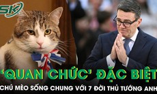 ‘Quan chức’ đặc biệt nhất nước Anh: Chú mèo 19 tuổi vẫn ở lại sau khi Thủ tướng thứ 7 lên nắm quyền