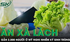 Ăn xà lách, gần 2.000 người ở Mỹ nhiễm ký sinh trùng, 98 ca phải nhập viện
