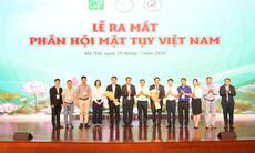 Hơn 6 triệu người Việt mắc viêm gan B mạn tính, cảnh báo nguy cơ ung thư gan