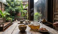 4 loại trà thảo dược tốt cho người gan nhiễm mỡ