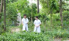 Giữa TPHCM có một ‘kho báu’ cây thuốc ít người biết