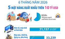 Sáu tháng năm 2026: 5 mặt hàng xuất khẩu trên 10 tỷ USD