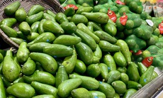 Tiểu thương bật mí cách chọn bơ chín đều, dẻo mịn, không sợ đắng