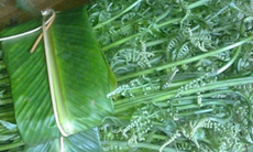 Loại rau dại trước bỏ đi nay là đặc sản giá 200.000 đồng/kg được người Trung Quốc xem là 'rau trường thọ', sang tận nơi để thu mua