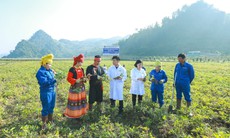 Dược liệu sạch, nhà máy GMP – Hành trình 'làm thật' của Dược phẩm Tâm Bình