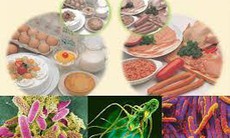 Bộ Y tế yêu cầu khẩn trương điều tra vụ gần 40 học sinh nghi ngộ độc thực phẩm tại Đắk Lắk