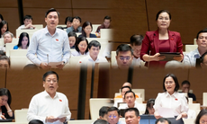 ĐBQH thảo luận về phạm vi bồi thường thiệt hại trong quản lý thuế