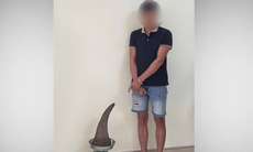 Vận chuyển 3,64 kg sừng tê giác, người đàn ông ở Cao Bằng bị bắt tạm giam