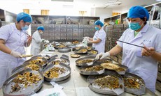Bộ Y tế yêu cầu siết quản lý y, dược cổ truyền, ngăn hàng giả, thuốc kém chất lượng, hành nghề trái phép
