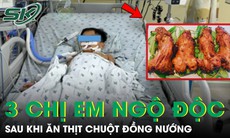 Ba chị em bị ngộ độc nặng, phải thở máy sau khi ăn thịt chuột đồng nướng