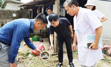 Hà Tĩnh ghi nhận 11 ca sốt xuất huyết, tăng cường khoanh vùng dập dịch