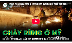 Thảm họa cháy rừng ở Mỹ, số lính cứu hỏa bị mắc kẹt đạt mức cao nhất trong vòng 20 năm