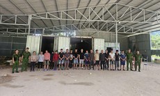 Khởi tố 18 người liên quan vụ vận chuyển hơn 5,3 tấn chân giò lợn đông lạnh qua biên giới