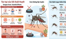 Từ 15/8 đến 15/9 tổ chức Tháng cao điểm phòng, chống sốt xuất huyết