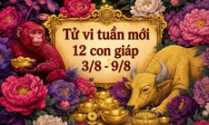 Tử vi tuần mới 12 con giáp 3/8 - 9/8: Mùi công việc đình trệ, Tý tình duyên chuyển biến
