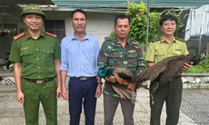Người dân Nghệ An bắt được 2 cá thể công quý hiếm