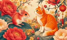 Tử vi 12 con giáp hôm nay 21/8: Dần đón vận may, Thân thu nhập rủng rỉnh