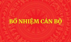 Bổ nhiệm Trợ lý Phó Thủ tướng Hồ Quốc Dũng