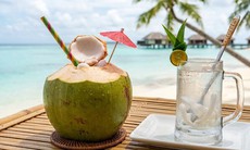 Sốt xuất huyết có nên uống nước dừa? Những điều cần biết khi bù nước