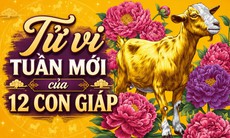 Tử vi tuần mới 12 con giáp 24/8 - 30/8: Dần may mắn, Mùi công việc biến động