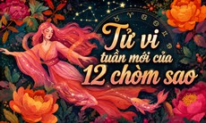 Tử vi tuần mới 12 cung hoàng đạo 24/8 - 30/8: Bọ Cạp lơ là, Song Tử sắc bén