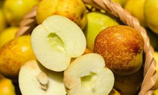 Tiểu thương chỉ cách chọn hồng táo chín già, ngọt thơm, ăn một lần là nhớ mãi