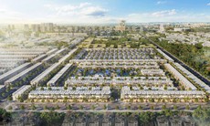 Tập đoàn Bất động sản Quốc gia vi phạm chứng khoán