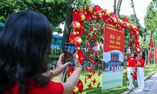 Phố Kim Mã thành điểm check-in rực rỡ dịp Quốc khánh