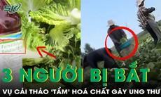 3 người bị bắt sau vụ cải thảo ‘tẩm’ hoá chất gây ung thư ở Trung Quốc