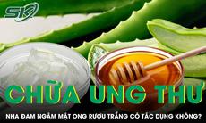 Thực hư nha đam ngâm mật ong pha rượu trắng có thể chữa ung thư 