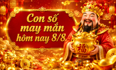 Con số may mắn hôm nay 8/8 -  số tài lộc 12 con giáp theo năm sinh