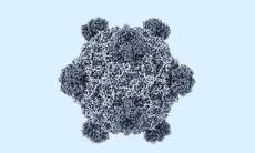 Mỹ tạo 16 loại virus chưa từng có ngoài tự nhiên bằng AI