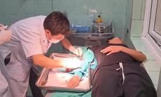 Kích hoạt báo động đỏ toàn viện hỗ trợ nhiều nạn nhân vụ tai nạn xe khách
