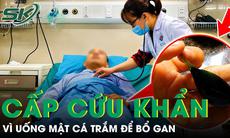 Cấp cứu sau khi uống mật cá trắm cùng rượu để bổ gan