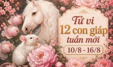 Tử vi tuần mới 12 con giáp từ 10/8 - 16/8: Tý thăng trầm, Ngọ cẩn thận thị phi