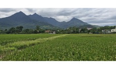 Thủ tục giao đất và giao rừng, cho thuê đất và cho thuê rừng