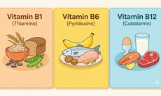 Vitamin 3B - Khi nào cần bổ sung và hướng dẫn sử dụng đúng cách