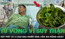 Người đàn ông tử vong vì suy thận cấp, 'sát thủ' là 3 loại rau này