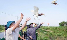 Hà Tĩnh ngăn nạn săn bắt chim trời mùa di cư