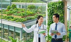 Đà Nẵng xây dựng cơ sở y tế xanh, góp phần thúc đẩy tăng trưởng xanh