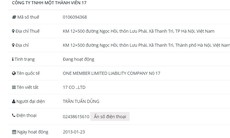 Công ty TNHH MTV 17 vi phạm chứng khoán