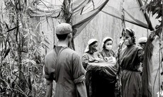 Giữ mạch sống giữa rừng xanh